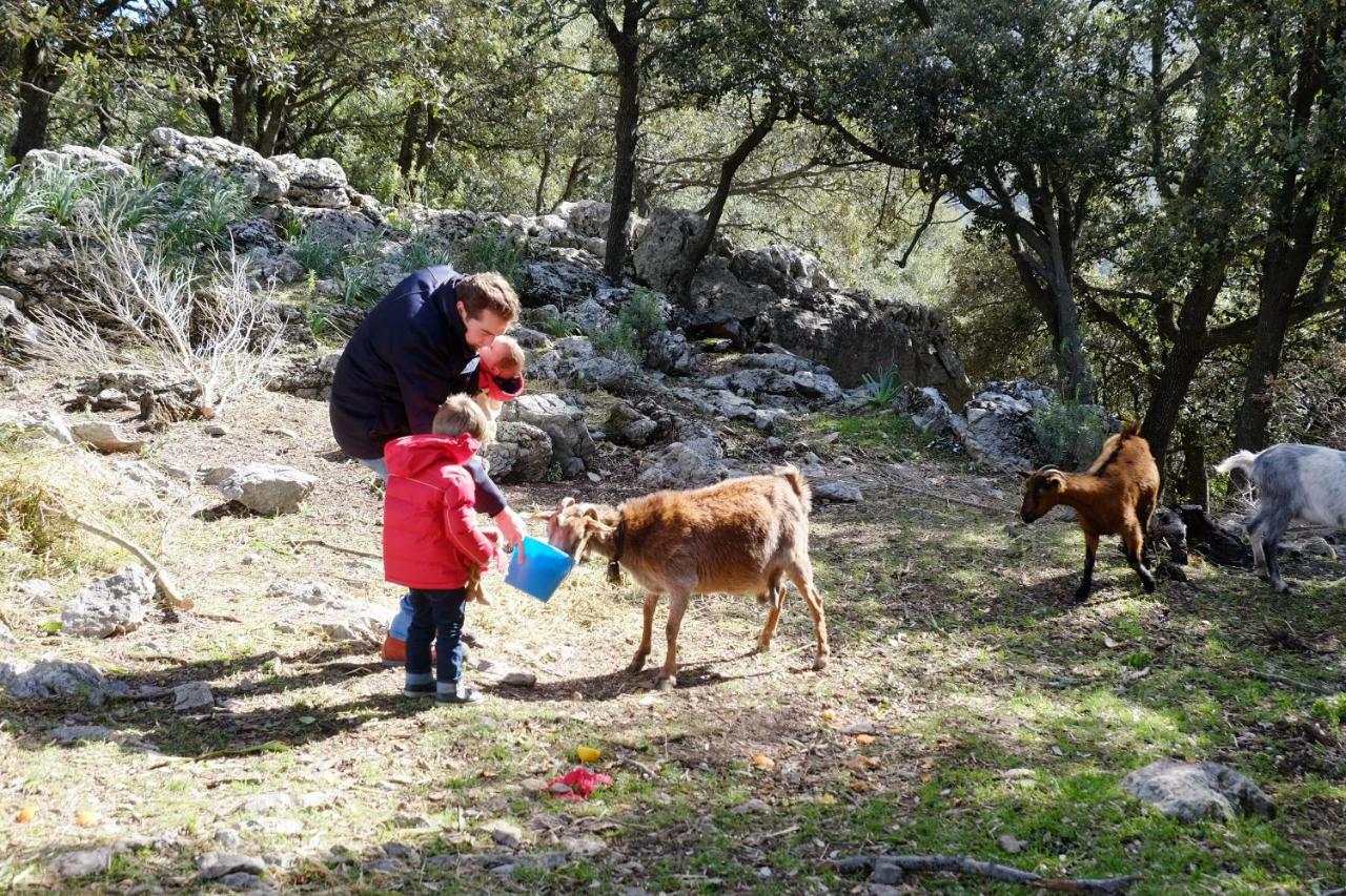 Agroturismo Son Alzines Lluc Exterior foto