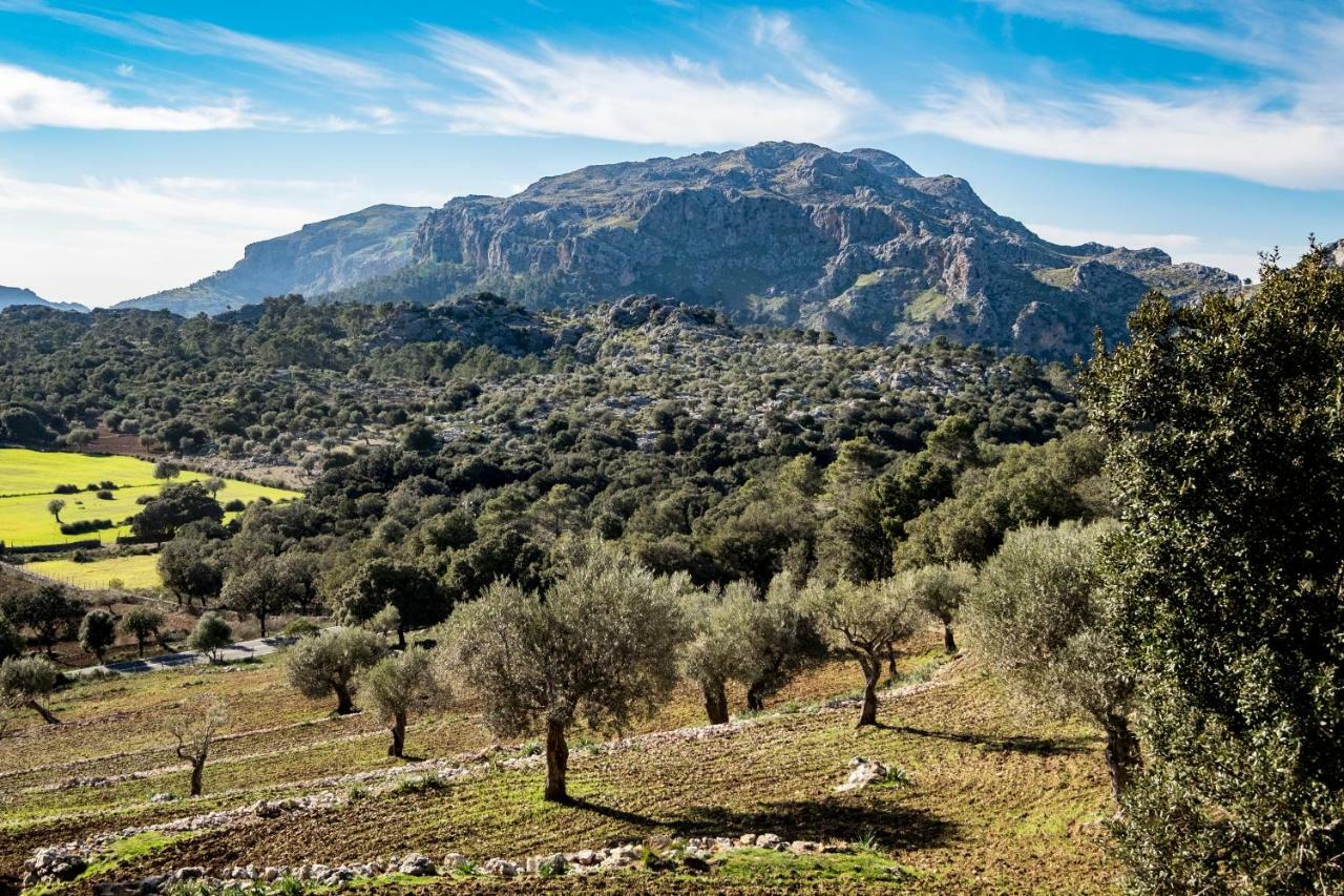 Agroturismo Son Alzines Lluc Exterior foto